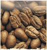 Product – product photo, Non-Roasted Coffee Beans products found from trusted suppliers, wholesalers, manufacturers & exporters Listing