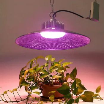E27 Supermarket High Color Lighting Fresh Light Power 36W Colour Purple IP Rating IP20 Min. Order: 10 Pieces Port: Zhongshan, - Hunan Six Grid Network Technology Co., Ltd - China