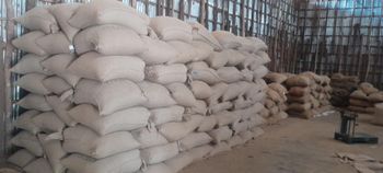 Ethiopian natural/unwashed Arabica grade 4 coffee  Grade 4 Drying Process Sun - Aspire Boono - Ethiopia
