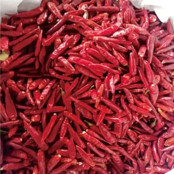 Factory Supply Cheap Price 100% Pure Chili Spicy Dried Chili from AL JABLI TRADING COMPANY LIMITED Factory Supply Cheap Price 100% Pure Chili Spicy Dried Chili - AL JABLI TRADING COMPANY LIMITED - Tanzania