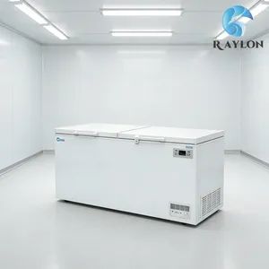 Household Chest Freezer for Home Frozen Food Storage Noise Level ≤45 Db HS Code 8418500000 Rated Power 140W/220W Door Type Sliding - Zibo Ruilang International Trade Co., Ltd. - China