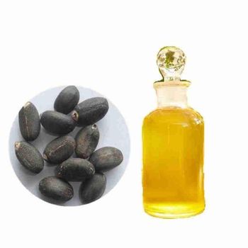 Jatropha oil bulk supply wholesale discount price fast delivery export ready - BMU TRADING GMBH - Germany