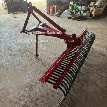 Europe Hot Sale Farm Implement Garden Tool Lr Series 1.2-2.1m Width Stick Rake Hay Rake Landscape Rake - Weifang Yourchance Machinery Co., Ltd. - China