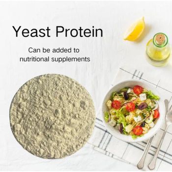 Yeast Protein Source Factory Vegetarian Protein Powder Raw Material Low Cholesterol Non Animal Source - Fuzhou Yankang Industrial Co., Ltd. - China