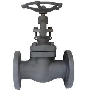 Stainless Steel Worm Gear Flange High-P, 1 Year Warranty, OEM Options - Nanjing Zhongxun Pipeline Equipment Co., Ltd - China