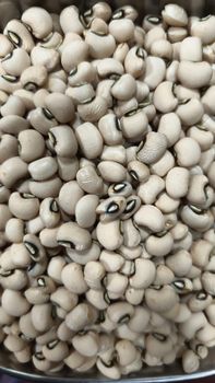 Black eye beans (cow pea) from Vardhi Impex Black eye beans (cow pea) - Vardhi Impex - India