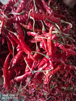 Dry Red Chilli-India from Kaushik Pradipbhai foodstuff trading LLC Dry Red Chilli-India - Kaushik Pradipbhai foodstuff trading LLC - United Arab Emirates