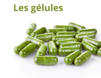 Human nutritional supplements - Amine - Algeria