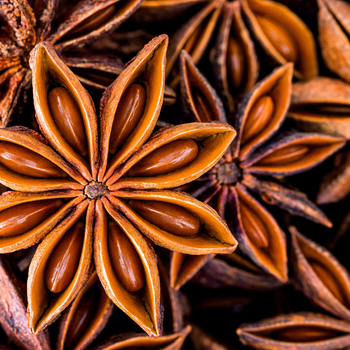Star Anise - ECOLUTION COMPANY LIMITED - Vietnam