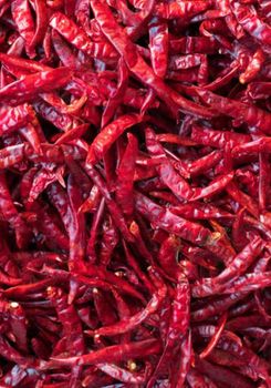 Red Chillies from Yadav Enterprises Red Chillies - Yadav Enterprises - India