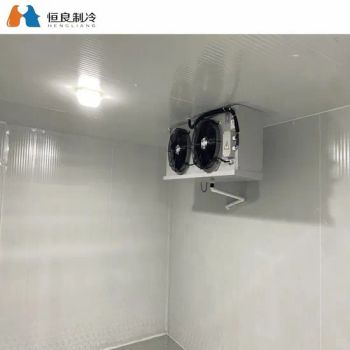 Cold Room Material Insulated Sandwich Panel Machinery Maker Usage Food Condition New Warranty 1-2 Years HS Code - Xiamen Hengliang Refrigeration Technology Co., Ltd. - China