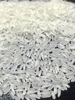 Jasmine Rice - TIEN GIANG RICE CO.,LTD - Vietnam
