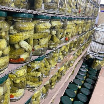TOP QUALITY PICKLED CUCUMBER / PICKLED BABY CUCUMBER 3-6cm / CANNED PICKLE CUCUMBER JARS - Whatsapp 0084 989 322 607 - Sunrise Ins Group - Vietnam