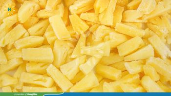 FROZEN PINEAPPLE Fruit Type Pineapple Variety Queen, MD2, Queen, Md2 Features No Preservatives, Organic Minimum Order Quantity 1 Container 20foot - HUNGHAU FOODS JSC - Vietnam