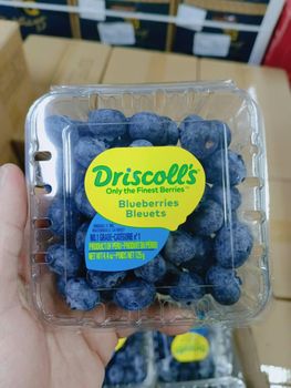 Fresh Blueberries / blueberry fruits 125g pint punnet Size Range 12mm To 22mm Sugar Content Around 13° Brix Firmness Around 86 Durofel - PPM AGRO - South Africa