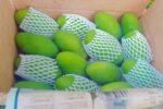Product – product photo, Farm Fresh Eggs products found from trusted suppliers, wholesalers, manufacturers & exporters Listing