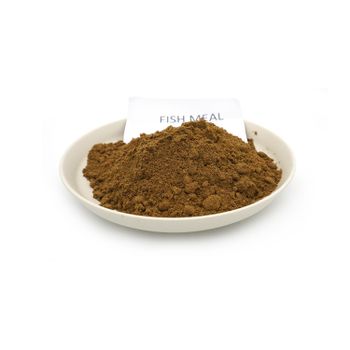 Natural Protein Rich Fish Meal For Aquaculture Industry Fish Meal Enhancing Fish Growth Performance And Feed Conversion Efficiency - THE GREEN INTERNATIONAL LIMITED - Tanzania