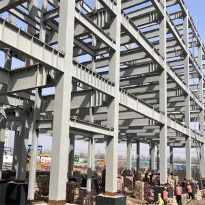 Prefabricated Hall Building Steel Build Steel Structure Construction China Custom Design Steel Building Hall Steel Frame School Buildings - SDKM Metal Materials Co., LTD - China