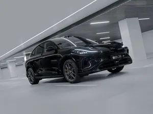 Long-Lasting Self-Supporting Door System for Zhiji Ls6 Electrical Car - Guangzhou Anhua Auto-Trading Co., Ltd. - China