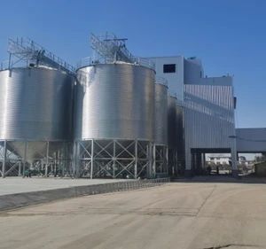 March 200t 500t 300t Grain Feed Corn Steel Soybean Storage Hopper Cone Bottom Silo - Raisetech Co., Ltd. - China