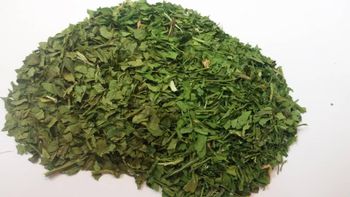 Dried Vegetables: Tarragon, Dill, Parsly, Chives, Mint Origin Iran Texture Dried Packaging PP Bags, Cartons Type Tarragon, Dill, Parsley, Chives, Mint, Etc - Ruby Herbal Supplies Co - Iran