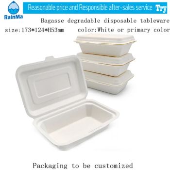 Mass Production 450ml Eco Friendly Biodegradable Compostable Disposable Tableware for Fast Food Supermarket - Ningbo Rainma Stationery Co., Limited. - China