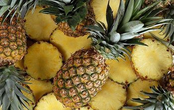 Pinneapple Fresh Fruits Organic Yes Degree of Processing Whole - PT Harmony Indo Spices - Indonesia
