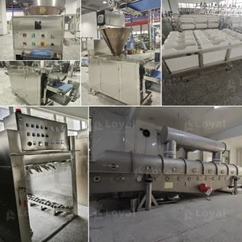 Boosting Output and Reducing Waste with a High-Capacity Breadcrumb Machine - Shandong Loyal Industrial Co., Ltd. - China