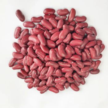 New Crop Organic Dark Red Kidney Beans Grade A Packaging Custom Features Organic Brand Name Custom Type Red Kidney Beans - VERTEX TRADING LIMITED - United Kingdom