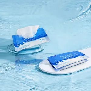 Free Best For Gym Fitness Hiking Disposable Adult Washcloths Wet Wipe 300 Count Rinse Incontinence Cleansing Cheap Price - Xiantao Tongda Non-Woven Products Co., Ltd. - China