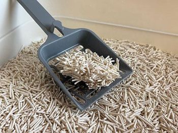 Plant-Based Tofu Cat Litter OEM | Dust-Free | Hard Clump | Consistent Every Batch | Free Sample - QINGDAO WOBIAN PET PRODUCT CO.,LTD - China