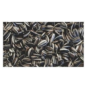 Wholesale new crop sunflower seeds roasted sunflower seeds kernel -  CALIPSO POLSKA SP Z OO  - Poland