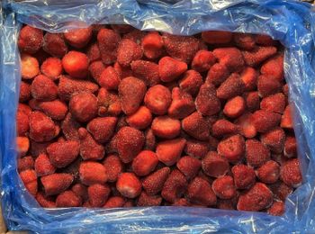 Frozen Strawberry 🍓 - Dinin Trading - Morocco