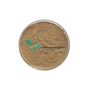 Blend mushroom extract Polysaccharide 30%, maitake, lion's mane,codyceps,reishi,shiitake,chaga extract mixed - Shanghai Huibo International Trade Co., Ltd. - China