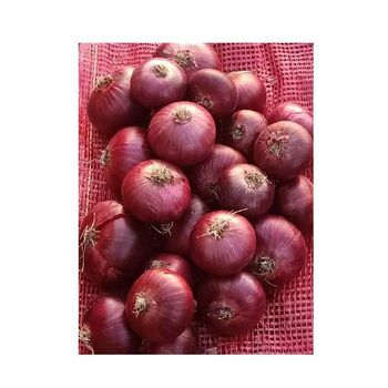 Fresh Red Onions New Harvest Wholesale Seasoned Foods spices big onions Top Grade - MASI TRADING GMBH - Germany