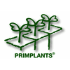 Product from PRIMPLANTS SA Product – product photo, Arisaema Flower Bulbs products found from trusted suppliers, wholesalers, manufacturers & exporters Listing