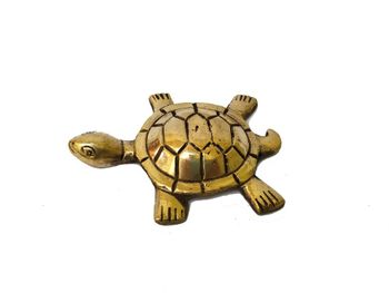 Brass Tortoise Statue Theme Vaastu Material Brass Brand Spillbox Base Shape Round Packaging Type Box Color Gold, Golden Design Star - Spillbox Innovation LLP - India