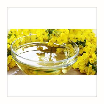 premium refined canola oil for deep frying sautéing baking and grilling light taste cholesterol free cooking oil perfect for healthy meals kitchen use and professional chefs - SATTER FOOD AND BEVERAGE - Netherlands