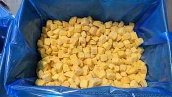 Frozen mango chunk Brix Level 12 Up Variety Kaew mango Size Tolerance 3mm Mango Type Kaew Mango Place of Origin Vietnam Shelf Life 24 Months, 24 months - Công ty TNHH Thương Mại Xuất Nhập Khẩu Tân Gia Thành - Vietnam