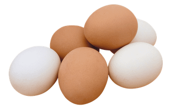 High Quality Pure Natural Fertile Chicken Table Eggs Fresh Brown and White Hatching Eggs Direct From Farm - Agroral import export srl  - Romania