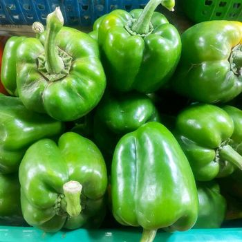 Best Buy 100% Natural Good Quality Wholesale Fresh Vegetables Fresh Capsicum for Sale - TRADECENTRIC LLC - United States