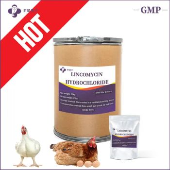 Factory Supply Poultry Antibiotic Lincomycin Hydrochloride Pharmaceutical Chemical Veterinary Products API Raw Material Powder Veterinary Medicines - Shanghai Ganglu Huinong Biotechnology Co., Ltd. - China