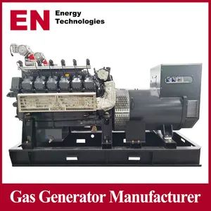 1MW/2MW/3MW Single Phase/3 Phase Biomass/LPG/LNG/LPG/Syngas/Gas Power/Factory/Hydrogen/Silent/High Power/Container/Natural/Wood Gas Generator - Qingdao En Energy Technology Co., Ltd - China