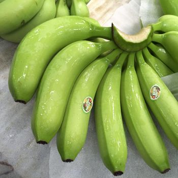 100% Natural Taste Sweet Cavendish Banana Fresh Agriculture Vietnam 3Timex Company-Faster Shipment Wholesale - TRADECENTRIC LLC - United States