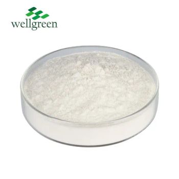 Organic Bulk Apple Cider Vinegar Extract Dietary Supplement Apple Cider Vinegar Powder - Wellgreen Technology Co., Ltd - China