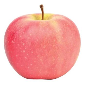 Apples from Jaishnavi Exports Apples – product photo, Fresh Passion Fruit products found from trusted suppliers, wholesalers, manufacturers & exporters Listing