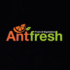 Product from ANTFRESH Product – product photo, Fresh Citrus Fruit products found from trusted suppliers, wholesalers, manufacturers & exporters Listing