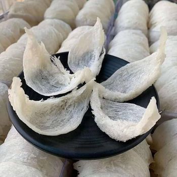 Best quality Edible bird's nest for sales Ash Content ≤ 5% Moisture Content ≤ 10% Protein Content 40–60% Shelf Life 24–36 - BF GLOBAL TRADING (PTY) LTD - South Africa