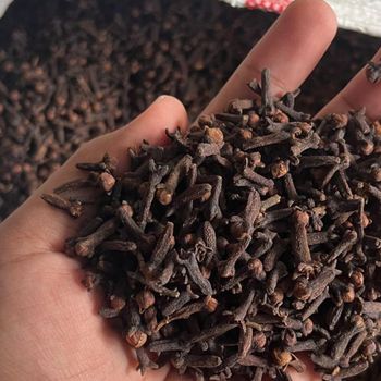 Clove AB Grade – Whole Dried Cloves (Indonesia Origin) - PT Rejeki Citra Harnat - Indonesia