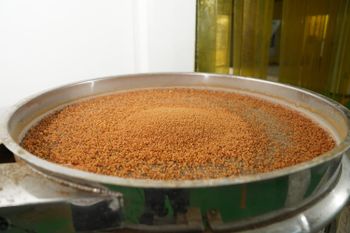 Coconut Sugar